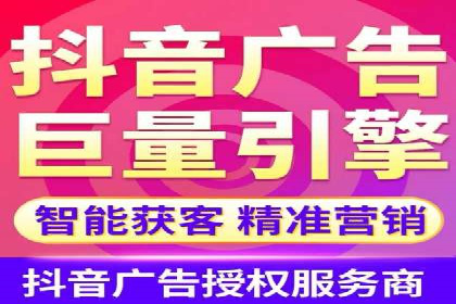 大型企业SEM外包实战案例