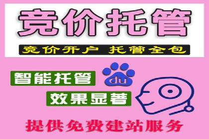 SEM推广代运营案例：转化率提升